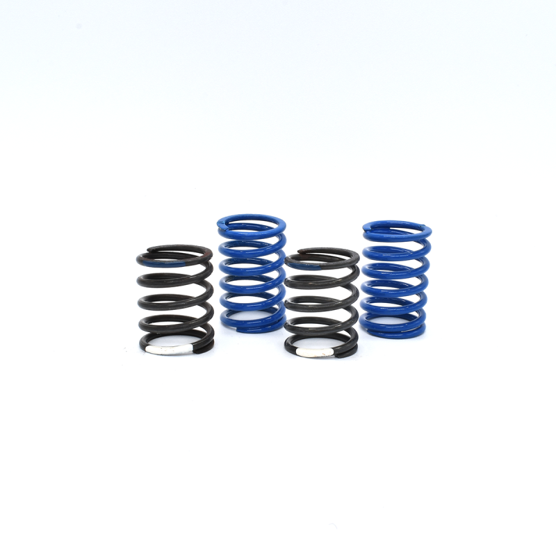 BLUE SPRINGS- SET - ( 4pcs )