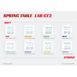 LAB GT2 SHOCK SPRING 4.25 EXTRA HARD