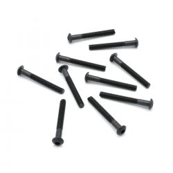 SCREW 3x25 ROUND HEAD (10 PCS)
