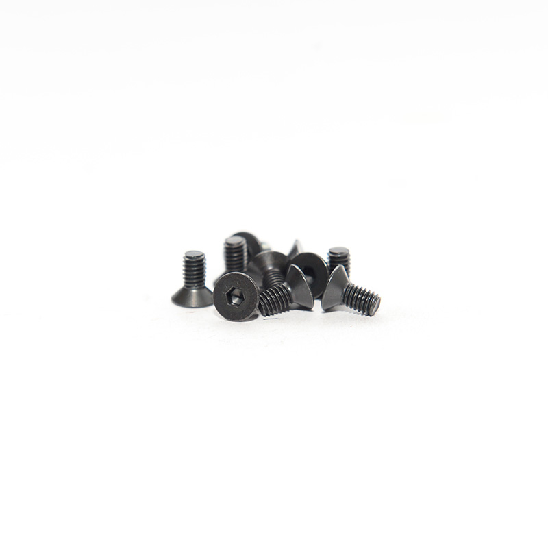 FLAT HEAD SCREW 4X8 (10pcs)