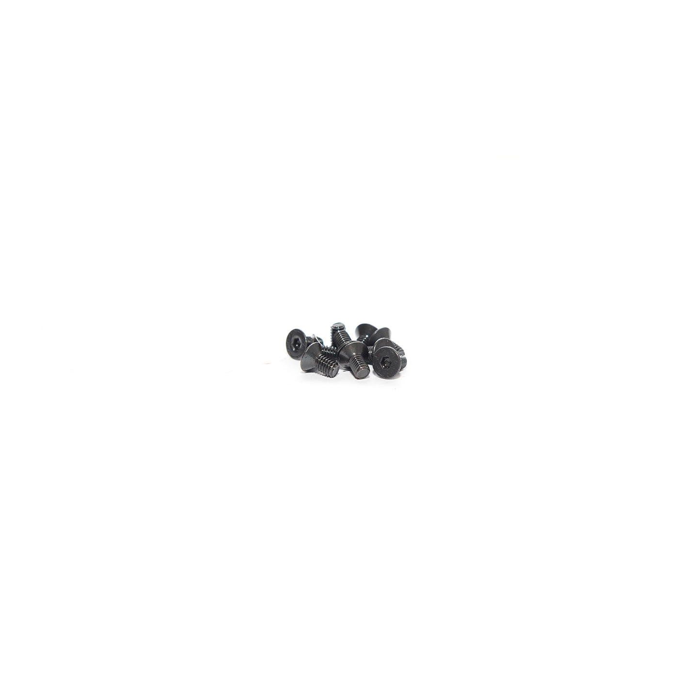 FLAT HEAD SCREW 2.5X5 ( 10 pcs)