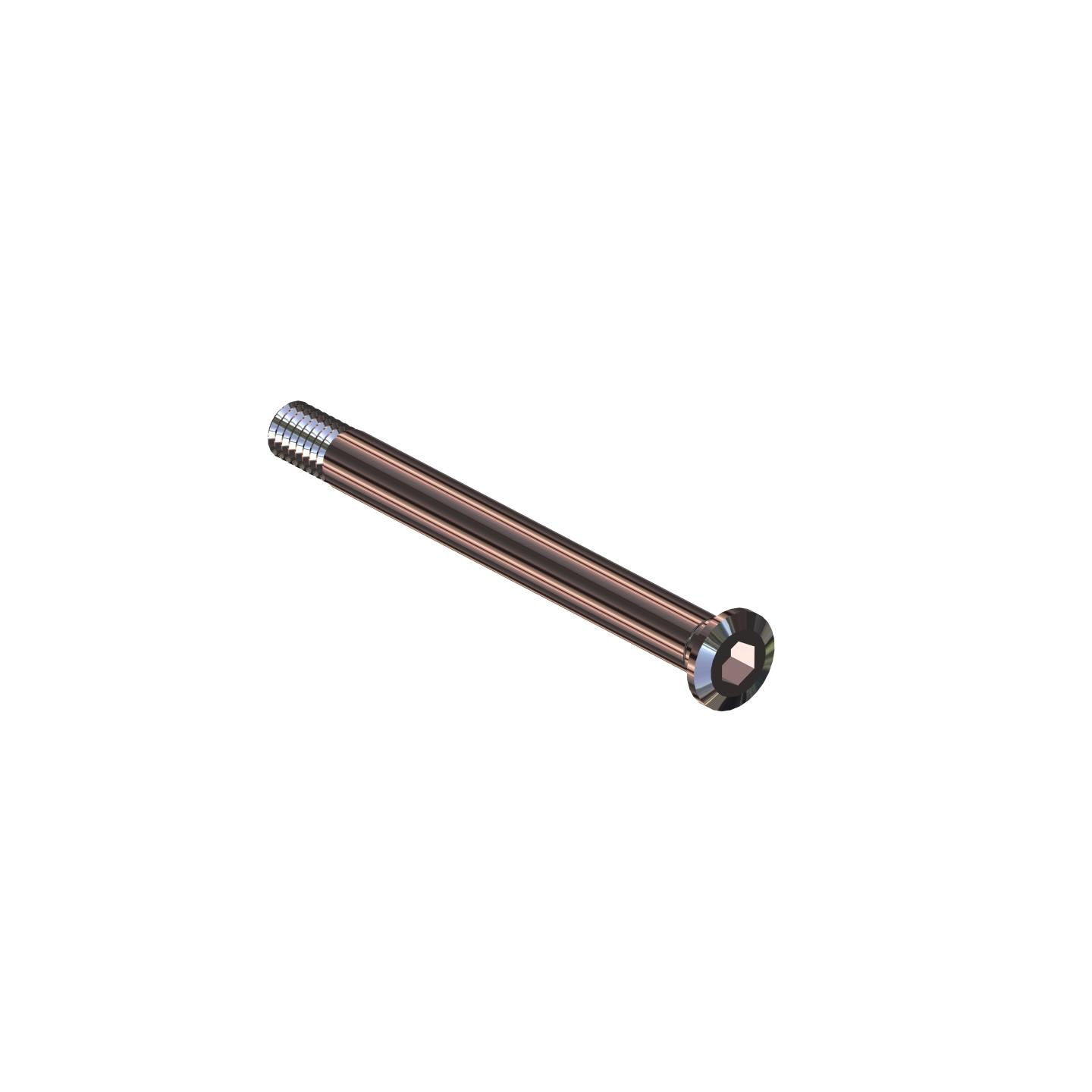 LAB F102 PERNO KING PIN REG (2PZ)
