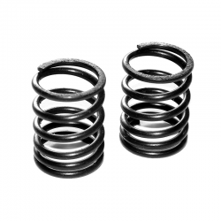 FRONT SHOCK SPRINGS...